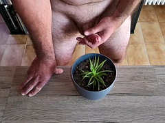 Cicci77 feeds her plants with pee and cum to make them lush! Its a shame to waste our precious organic liquids!