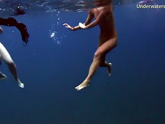 Sea adventures in Tenerife underwater