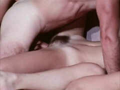 Pijpbeurt, Lul, Groep, Harig, Orgie, Kut duiken, Ouderwets, Oud