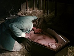 Волосатые, Секс без цензуры, Белье, Винтаж