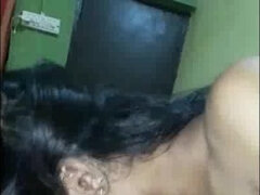 Polla, Hd, Indio