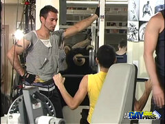 Anal, Sucer une bite, Homosexuelle, Gym