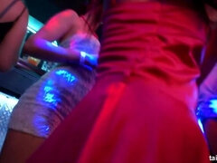 Noire, Habillées, Mignonne, Poupée, Léchez, Orgie, Actrice du porno, Mouillée