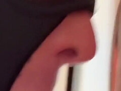 Kuřba, Evropské, Gay, Švýcarské