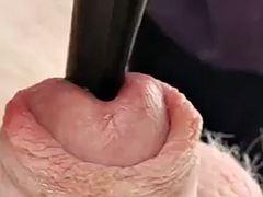 Amaterji, Bdsm, Gej, Dekle drka tiča, Hardcore, Vstavitev, Solo, Švedski