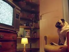 18, Amaterji, Varuška, Velika rit, Velike joške, Rjavolaska, Dekle drka tiča, Hd