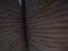 Bulgarialainen, Rankka