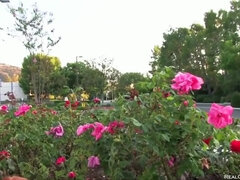 Σκληρό, Εκτός, Δημόσιο, Μόνος, Ψηλός, Έφηβος, Τρίο, Παιχνίδια