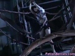 18, Aasialainen, Kummallinen, Sidonta, Ruskeahiuksinen, Fetissi, Japanilainen, Lonkero