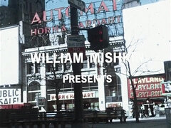 New York Story Porn from USA