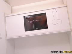 Amatőr, Monumentális dákó, Cumizás, Krémes süti, Fétis, Nyilvános wc fülkék falában lévő lyuk, Hd, Fajok közötti