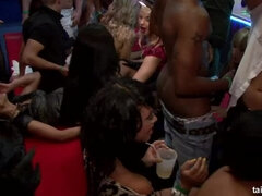 Grote lul, Pijpbeurt, Bruinharig, Zoenen, Ondergoed, Orgie, Feest, Swinger