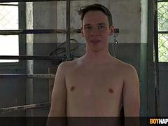 Verga grande, Gay