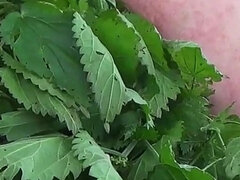 Leie, Sadomasochismus, Grosser arsch, Grosser kitzler, Fetisch, Behaart, Solo, Hintern versohlen