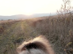 Любители, Блондинки, Минет, Кончили внутрь, Глубокая глотка, На природе, От первого лица, На публике