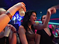 Amatør, Babe, Hardcore, Fest