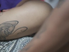 Musta, Lukio, Saksalainen, Hieronta, Pienikokoinen, Lutka