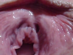 Velika klitoris, Klitoris, Fetiš, Zevajoči, Muco