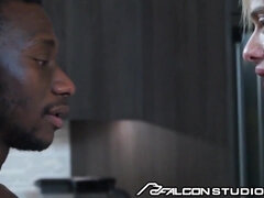 FalconStudios - Everyone Plows At High Class Homosexual Soiree