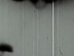 Amerikkalainen, Iso kulli, Suihinotto, Pariskunta, Karvainen, Retro, Pehmo, Vuosikerta