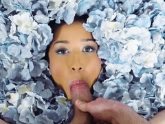 デカパイ, 黒人, フェラチオ, イく瞬間, バック, Hd, 自然山雀, 剃毛