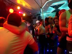 Store pupper, Gruppe, Runke, Raseblandet, Kyssing, Pornostjerner, Swingers, Trekant