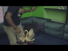 Arsch, Hardcore, Indisch, Muschi, Jungendliche (18+), Titten