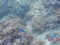 Snorkeling and fucking make a perfect day with Aften.