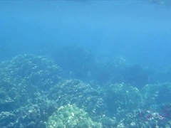 Leie, Strand, Flashen, Im freien, Zierlich, Pov, Öffentlich, Titten