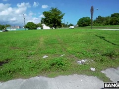 Amatør, Blondine, Pik sutte, Bus, Sædskud, Hundestilling, Barberet, Sluge