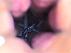 Morena, Hembra, Hd, Madres para coger, Solo