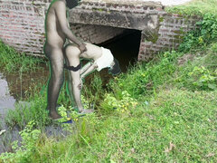 Arabes, Misto, Faculdade, Namorada, Feito em casa, Indianoa, Ao ar livre cartaz de rua outdoor, Baixinhoa