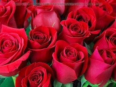 Anál, Zadok k puse, Spálne, Veľký zadok, Honění, Dospelé, Milf  mčbp, Mamina