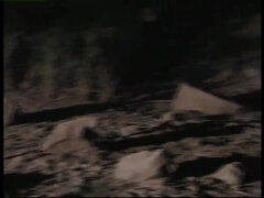 Anal, Gros seins, Plantureuse, Tir de sperme, Gode, Faciale, Hard, Nénés