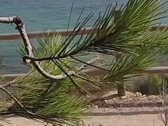 Amatorka, Plaża, Obciąganie, Francuski, Obciąganie, Publiczny, Cycki