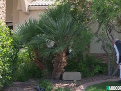 Popó, Monumentális dákó, Tekintélyes didik, Szőke, Cumizás, Kőkemény, Érett feleség, Pornósztárok