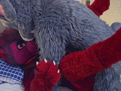 Amatorka, Kutas, Płeć żeńska, Fetysz, Cipka