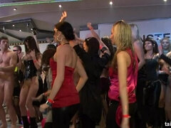 Verga grande, Negro, Vestidas, Pajear, Interracial, Lamidas, Lencería, Afeitado