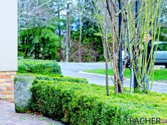 Stora tuttar, Blondin, Bystig, Milf, Student, Lärare, Tonåring, Tuttar