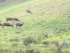 Amador amadora, Por trás do pano, Bundão, Loiroa, Hd, Raspar depilar, Tatuagem, Tetas