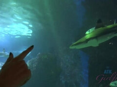 Bikini, Kuřba, Brunetka, Priateľka, Latinskej, Z pohľadu účastníka, Nafúknuté bradavky, Ponožky