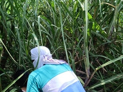 Amateur, Pareja, Al aire libre