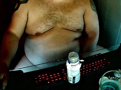Fat bear loves to gain weight