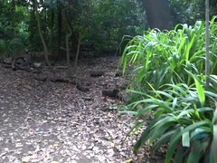 Amatör, Strand, Fingering, Flickvän, Orgasm, Utomhus, Röker, Sprutande