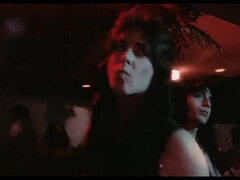 Tekintélyes didik, Szőke, Cumizás, Gesztenyebarna, Négyes, Csoport, Szőrös, Anyuci