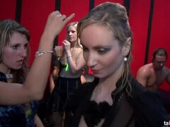 Kuřba, Tanec, Hardcore, Mezirasové, Lesbické, Orgie, Pornstars, Vlhká