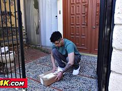 Kisbaba, Monumentális dákó, Tekintélyes didik, Szőke, Műcerka, Érett feleség, Begyek, Játékszerek