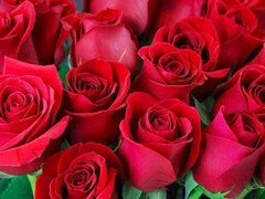 アスtoマウス, 叔母, デカ尻, インド人, 熟年, 淫乱熟女, 母