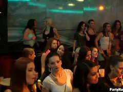 갱뱅, 그룹, 흥청망청 놀기, 파티