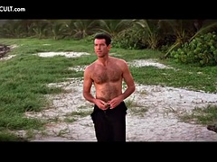 Celebrantka, Towarzystwo, Kompilacja, Publiczny